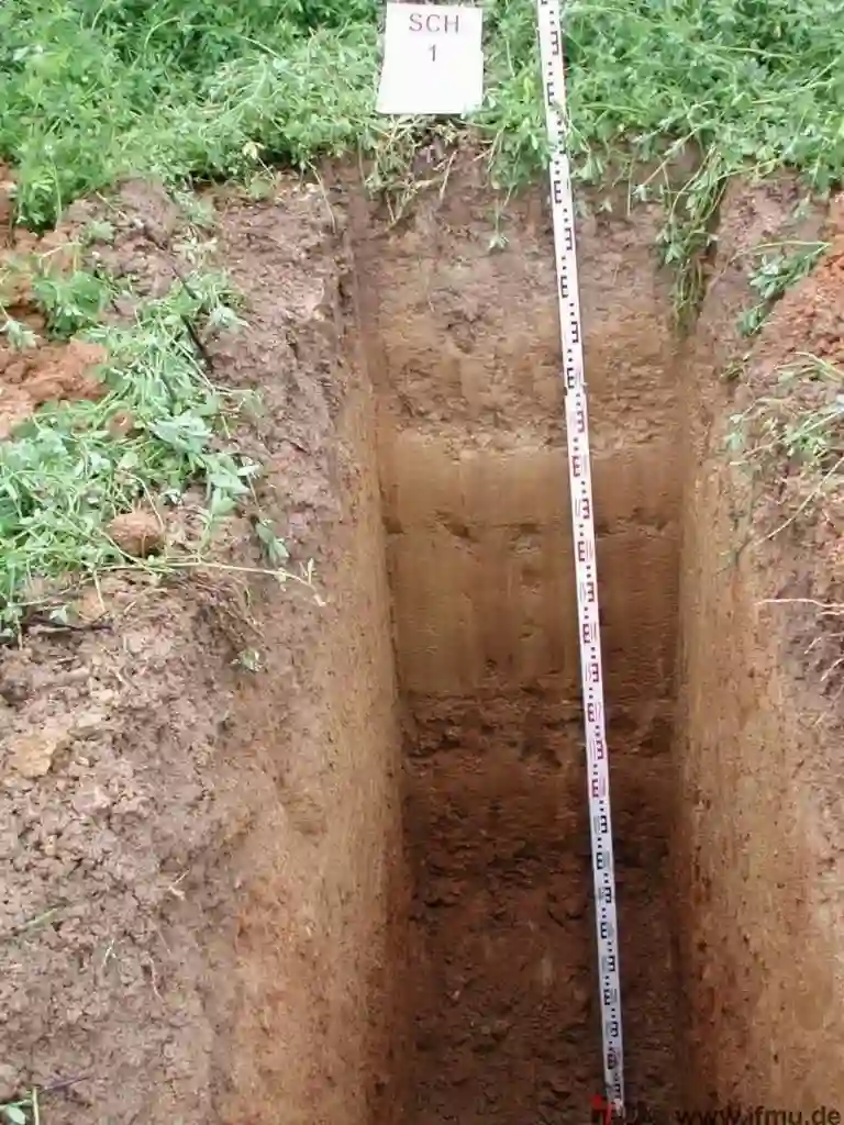 Exploratory Test Pits in Rotorua: Mapping Subsurface Conditions in Geothermal Ground